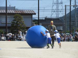 IMG_4002.JPG