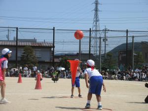 IMG_4011.JPG