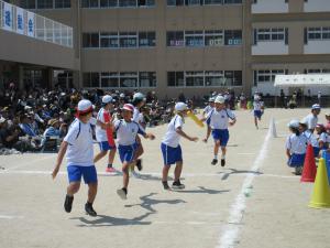 IMG_4031.JPG