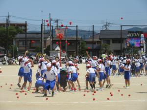 IMG_4033.JPG