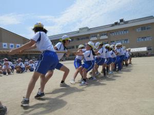 IMG_4044.JPG