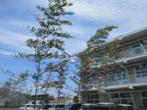 IMG_4596.JPG