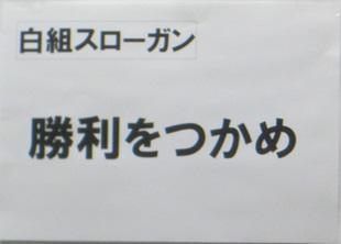 白.jpg