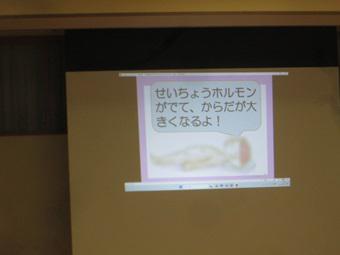 IMG_0029.JPG