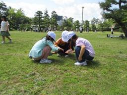 IMG_0198.JPG