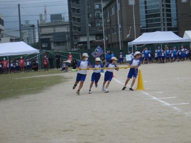 IMG_0343.JPG
