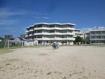 IMG_0372.JPG