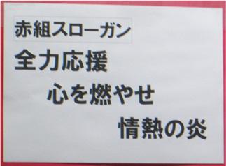 赤.jpg
