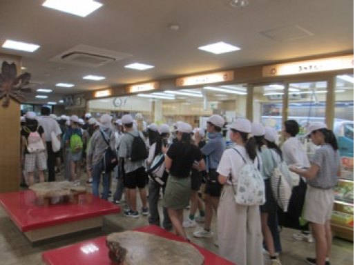 スクリーンショット 2024-09-12 17.33.45.png