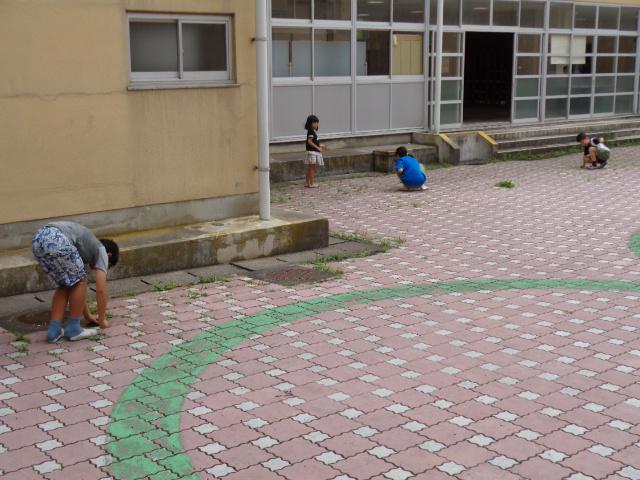 DSC01748.JPG