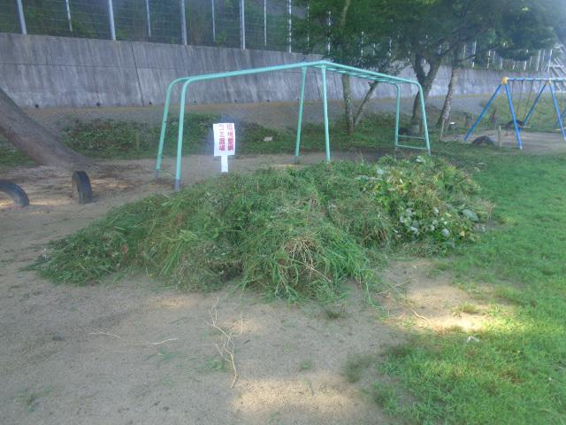 DSC01760.JPG