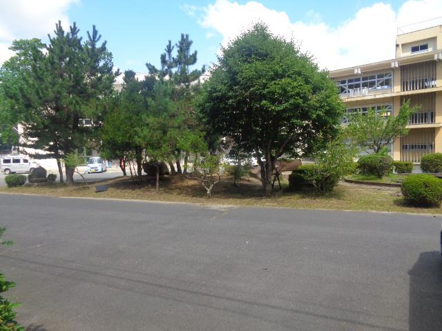 DSC01767.JPG