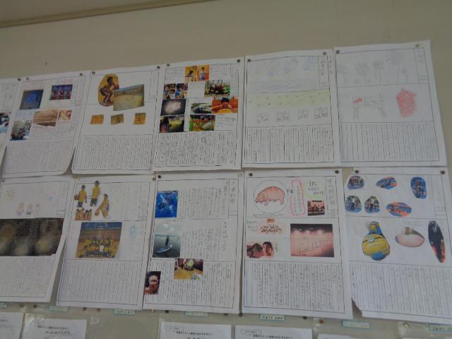 DSC00454.JPG