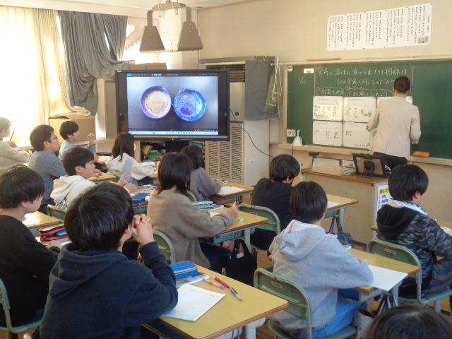 DSC00039.JPG
