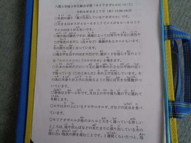 DSC00046.JPG
