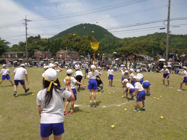 DSC00075.JPG