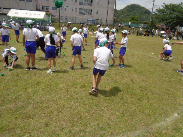 DSC00077.JPG