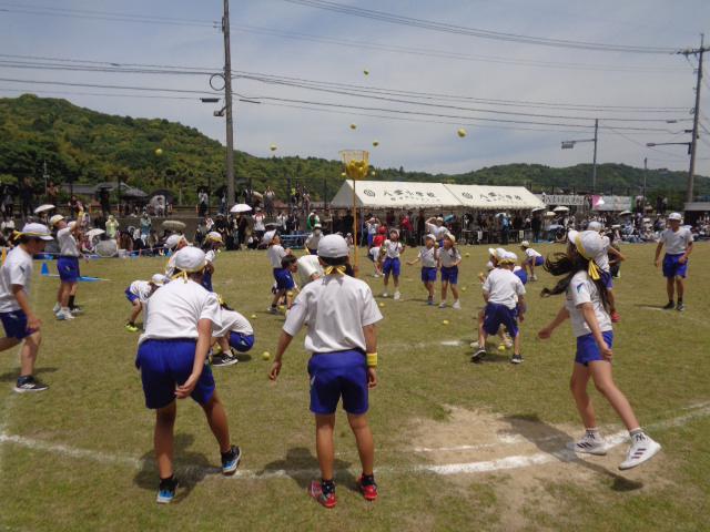DSC00078.JPG