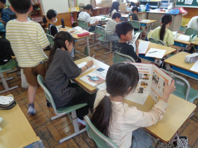 DSC00146.JPG