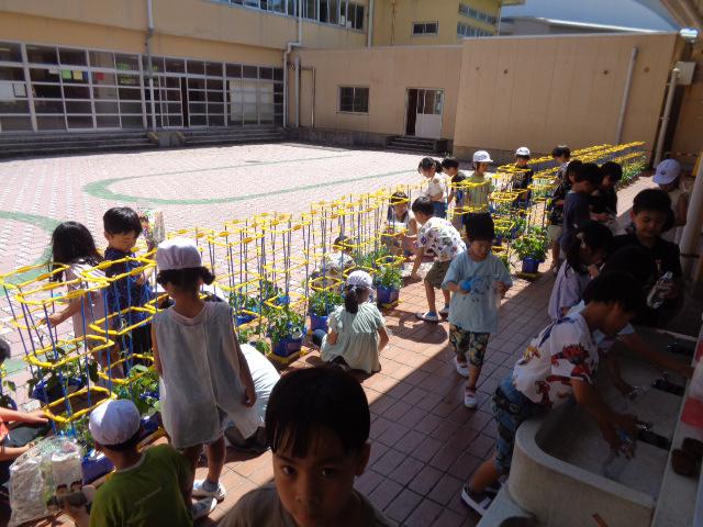 DSC00170.JPG