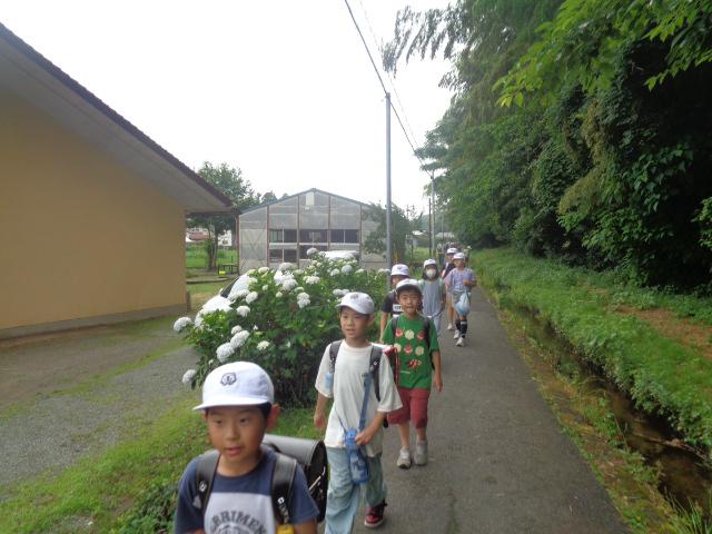 DSC00209.JPG
