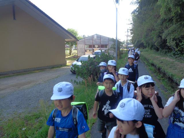 DSC00217.JPG