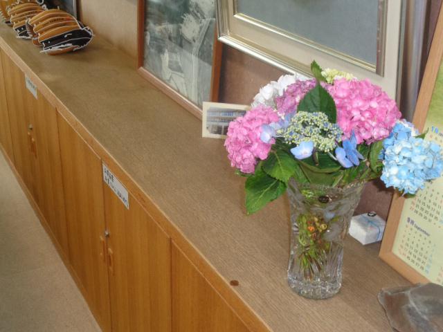 DSC00218.JPG