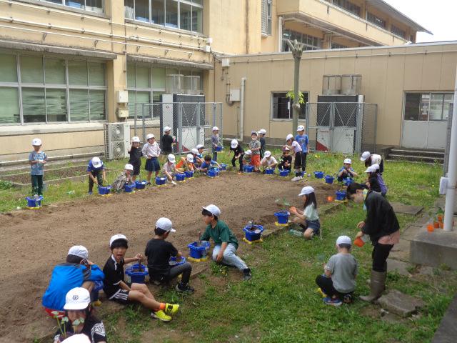 DSC00231.JPG