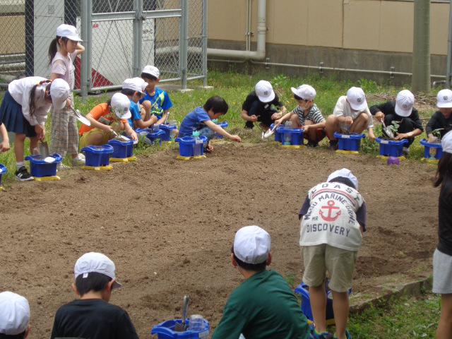 DSC00235.JPG