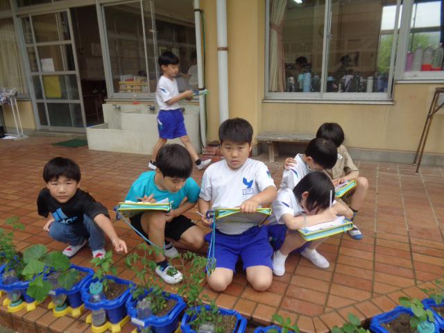 DSC00274.JPG