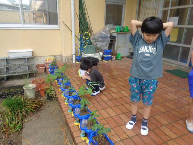 DSC00275.JPG