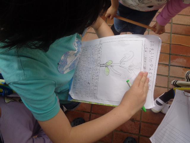 DSC00278.JPG