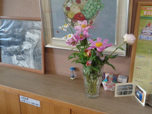 DSC00342.JPG