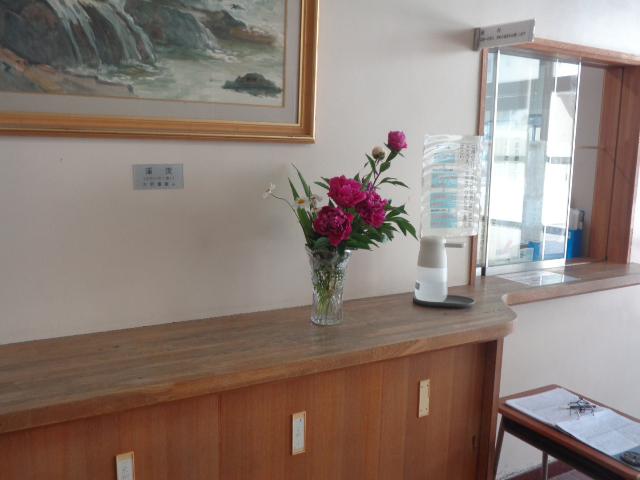 DSC00343.JPG