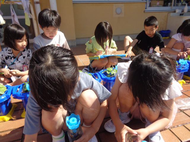 DSC00353.JPG