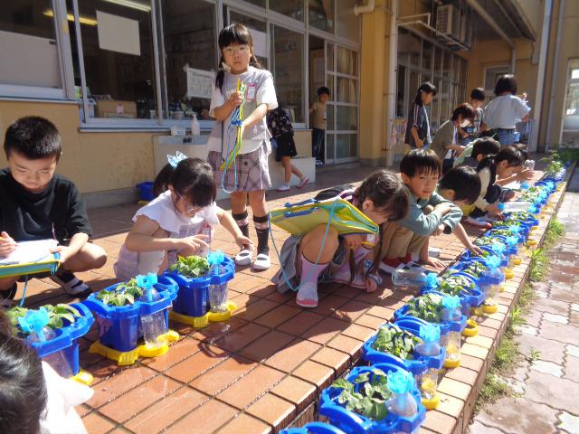 DSC00354.JPG