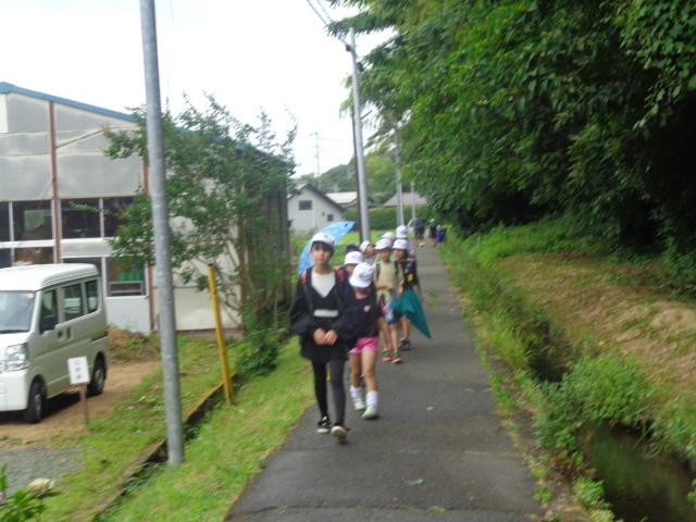 DSC00435.JPG