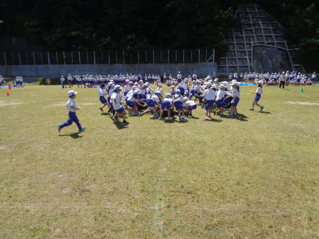 DSC00478.JPG