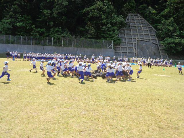 DSC00479.JPG