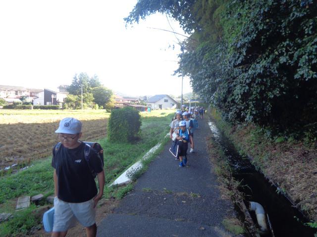 DSC00485.JPG