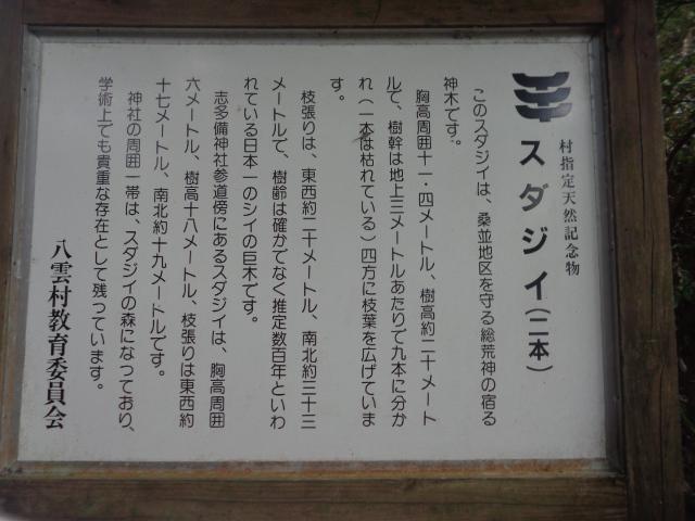 DSC00522.JPG