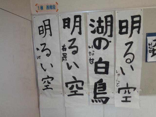 DSC00581.JPG