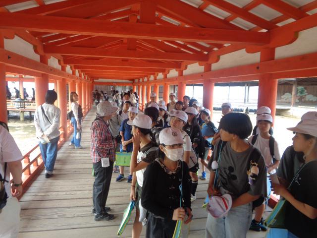 DSC00635.JPG