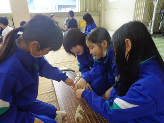 DSC00648.JPG