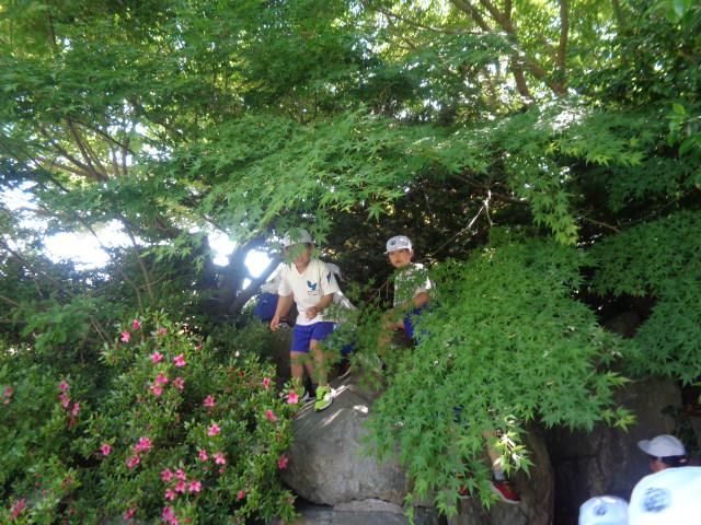 DSC00667.JPG