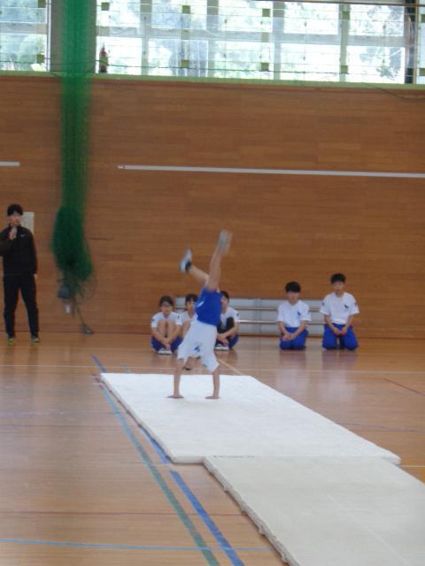 DSC00677.JPG