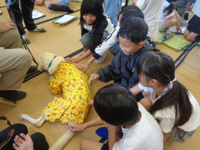 DSC00690.JPG