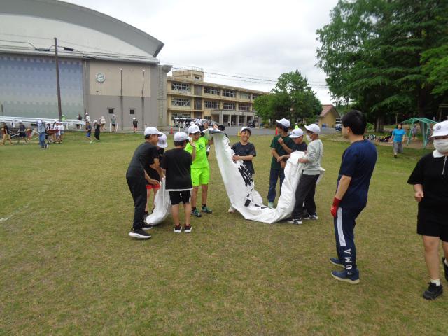 DSC00781.JPG
