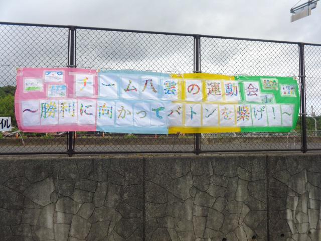 DSC00795.JPG