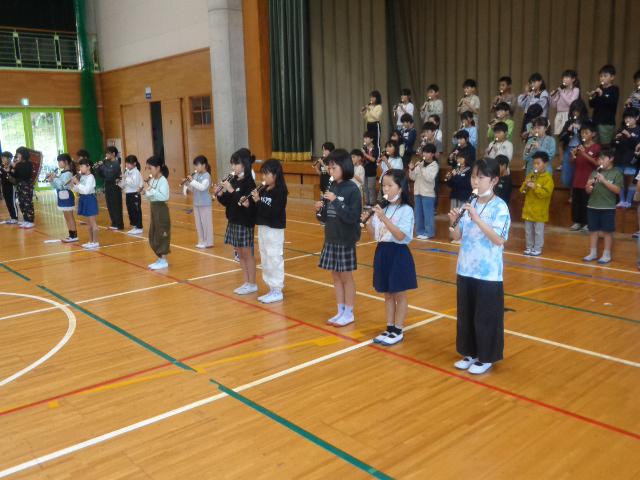 DSC00806.JPG